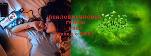mdpv Строитель