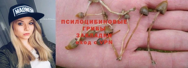 mdpv Строитель