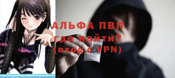 ПСИЛОЦИБИНОВЫЕ ГРИБЫ Сясьстрой