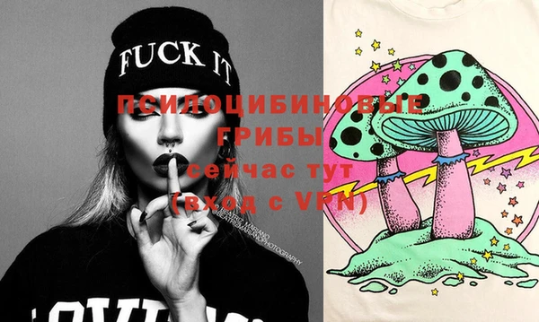 сатива Струнино