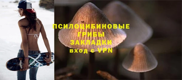 мяу мяу мука Ступино