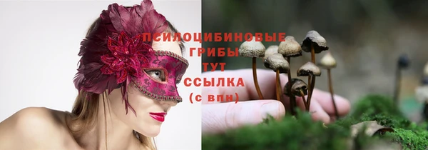 mdpv Строитель