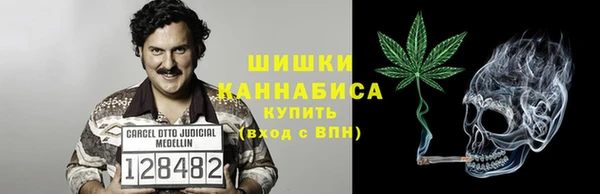 сатива Струнино